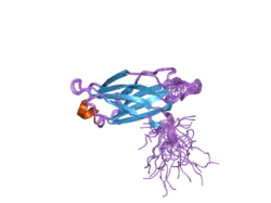 2d8k: Solution structure of the first C2 domain of synaptotagmin VII