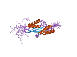 2dax: Solution structure of the RWD domain of human protein C21orf6