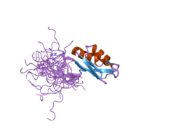 2dgt: Solution structure of the second RNA binding domain in RNA-binding protein 30