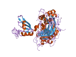 2dhs: Solution Structure of Nucleic Acid Binding Protein CUGBP1ab and its Binding Study with DNA and RNA