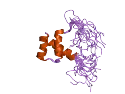 2djn: The solution structure of the homeobox domain of human Homeobox protein DLX-5