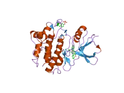 2dq7: Crystal Structure of Fyn kinase domain complexed with staurosporine