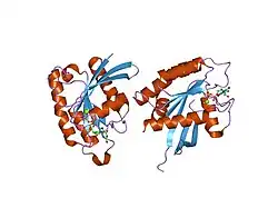 2ery: The crystal structure of the Ras related protein RRas2 (RRAS2) in the GDP bound state