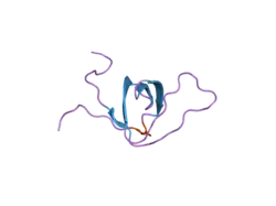 2eyx: C-Terminal SH3 domain of CT10-Regulated Kinase