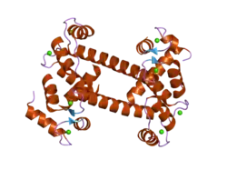 2f2o: Structure of calmodulin bound to a calcineurin peptide: a new way of making an old binding mode