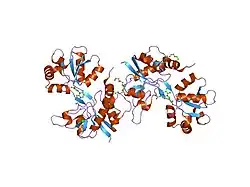 2f34: Crystal Structure of the GluR5 Ligand Binding Core Dimer with UBP310 At 1.74 Angstroms Resolution