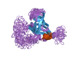 2f3i: Solution Structure of a Subunit of RNA Polymerase II