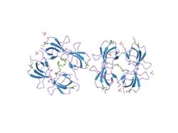 2fpe: Conserved dimerization of the ib1 src-homology 3 domain