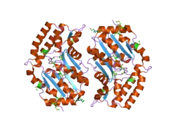2g0a: X-ray structure of mouse pyrimidine 5'-nucleotidase type 1 with lead(II) bound in active site