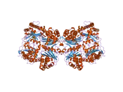 2g56: crystal structure of human insulin-degrading enzyme in complex with insulin B chain
