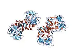 2g63: Crystal structure of human dipeptidyl peptidase IV (DPPIV) complexed with cyanopyrrolidine (C5-pro-pro) inhibitor 24b