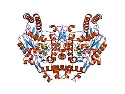 2g6k: Structure of rat nNOS heme domain (BH4 bound) complexed with NO