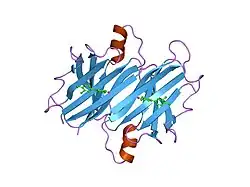 2gab: Human Transthyretin (TTR) Complexed with Hydroxylated polychlorinated Biphenyl-4-hydroxy-3,3',5,4'-tetrachlorobiphenyl