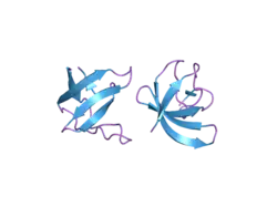 2gnc: Crystal structure of srGAP1 SH3 domain in the slit-robo signaling pathway