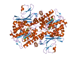 2h3d: Crystal Structure of Mouse Nicotinamide Phosphoribosyltransferase/Visfatin/Pre-B Cell Colony Enhancing Factor in Complex with Nicotinamide Mononucleotide
