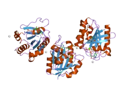 2h57: Crystal structure of human ADP-ribosylation factor-like 6
