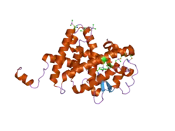 2h79: Crystal Structure of human TR alpha bound T3 in orthorhombic space group