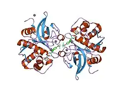 2hh5: Crystal Structure of Cathepsin S in complex with a Zinc mediated non-covalent arylaminoethyl amide