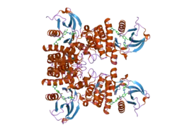 2hyy: Human Abl kinase domain in complex with imatinib (STI571, Glivec)