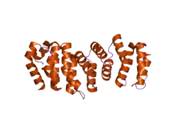 2ilr: Crystal structure of human Fanconi Anemia protein E C-terminal domain