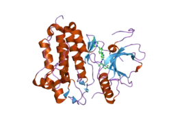 2itp: CRYSTAL STRUCTURE OF EGFR KINASE DOMAIN G719S MUTATION IN COMPLEX WITH AEE788