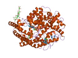 2iul: HUMAN TACE G13 MUTANT