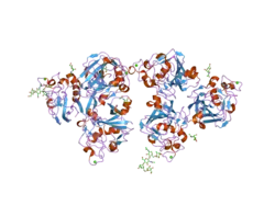 2j0g: L-FICOLIN COMPLEXED TO N-ACETYL-MANNOSAMINE