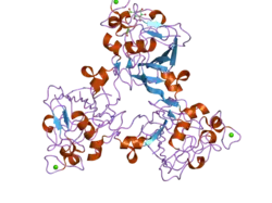 2j5z: H-FICOLIN COMPLEXED TO GALACTOSE