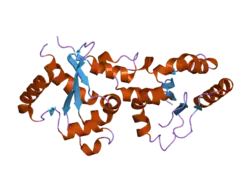 2j67: THE TIR DOMAIN OF HUMAN TOLL-LIKE RECEPTOR 10 (TLR10)