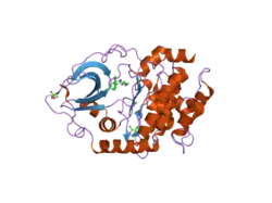 2jdt: STRUCTURE OF PKA-PKB CHIMERA COMPLEXED WITH ISOQUINOLINE-5-SULFONIC ACID (2-(2-(4-CHLOROBENZYLOXY) ETHYLAMINO)ETHYL) AMIDE