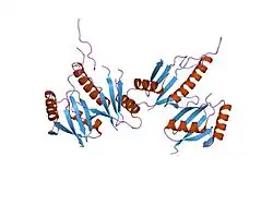 2npt: Crystal Structure of the complex of human mitogen activated protein kinase kinase 5 phox domain (MAP2K5-phox) with human mitogen activated protein kinase kinase kinase 2 phox domain (MAP3K2-phox)