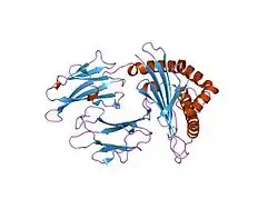 2nw3: Crystal structure of HLA-B*3508 presenting EBV peptide EPLPQGQLTAY at 1.7A