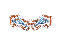 2nyt: The APOBEC2 Crystal Structure and Functional Implications for AID