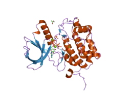 2ou7: Structure of the Catalytic Domain of Human Polo-like Kinase 1