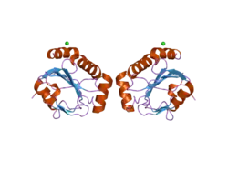2p31: Crystal structure of human glutathione peroxidase 7
