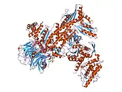 2p9u: Crystal structure of bovine Arp2/3 complex co-crystallized with AMP-PNP and calcium