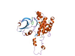 2uv2: CRYSTAL STRUCTURE OF HUMAN STE20-LIKE KINASE BOUND TO 4-(4-(5-CYCLOPROPYL-1H-PYRAZOL-3-YLAMINO)-QUINAZOLIN-2-YLAMINO)-PHENYL)-ACETONITRILE