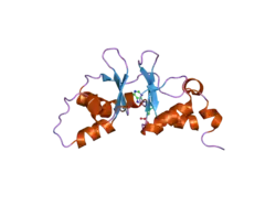 2uv4: CRYSTAL STRUCTURE OF A CBS DOMAIN PAIR FROM THE REGULATORY GAMMA1 SUBUNIT OF HUMAN AMPK IN COMPLEX WITH AMP