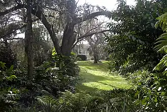 The Harry Leu House in Leu Gardens.
