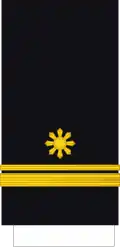 Lieutenant junior grade (Philippine Navy)[9]