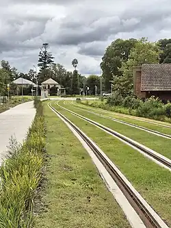 Parramatta Light Rail green track, Sydney, Australia
