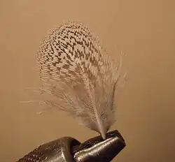 Typical partridge feather used for soft-hackle flies