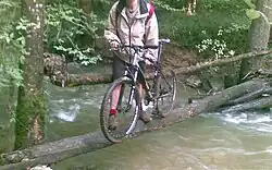 Simple log bridge over the Alzou in France