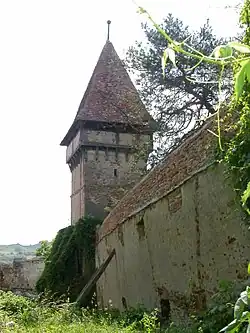 Fortified church in Pelișor