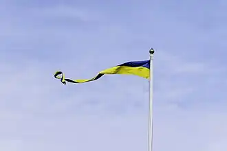 Swedish pennant flying