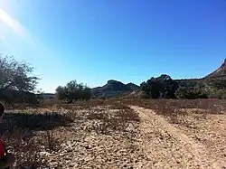 Hiking trail leading to the Indian Mesa (in the background). The hiking trail is located on a portion of a canal which the Hohokam built in 700 AD.[10] The canal is now filled with soil.
