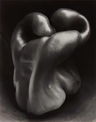 Image 88Pepper No. 30, by Edward Weston (edited by Bammesk) (from Wikipedia:Featured pictures/Artwork/Others)
