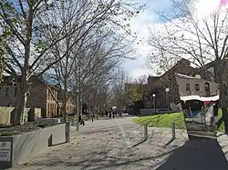 Entering precinct from Beaufort Street at east