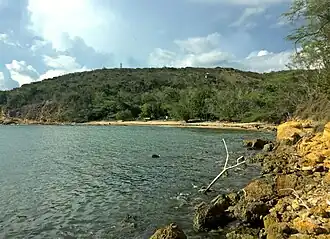 Playa Jaboncillo and Bosque Seco in Guánica