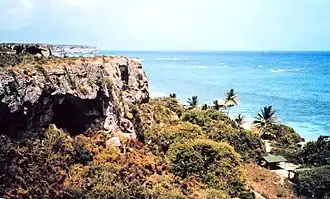 Playa Pájaros in Mona Island